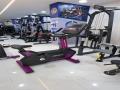 Life Fitness Upright