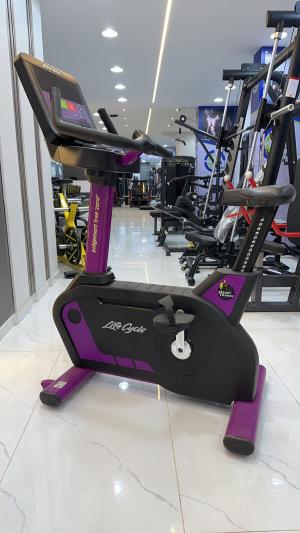 Life Fitness Upright
