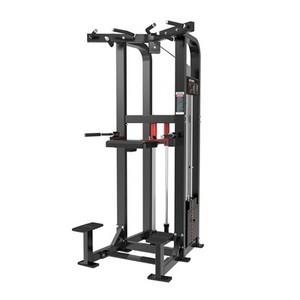 LIFE FITNESS PRO 2