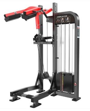 LIFE FITNESS PRO 2