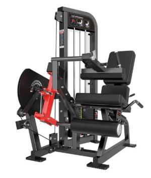 LIFE FITNESS PRO 2